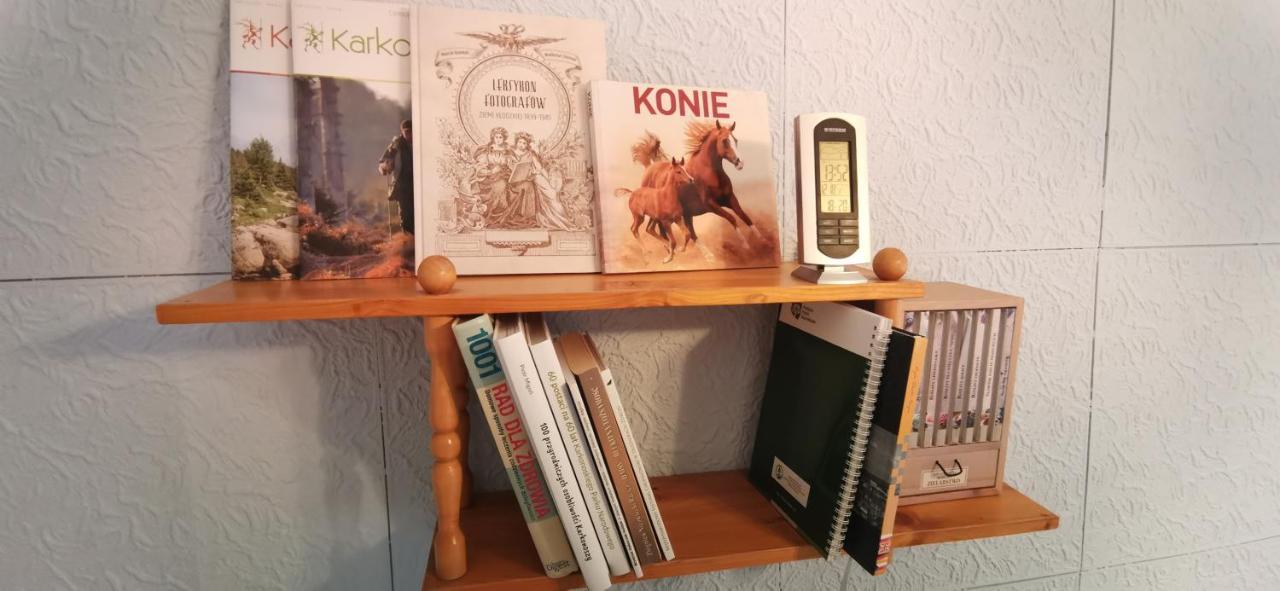 APARTAMENT MILKA w Dusznikach Zdroju Duszniki Zdrój Zewnętrze zdjęcie