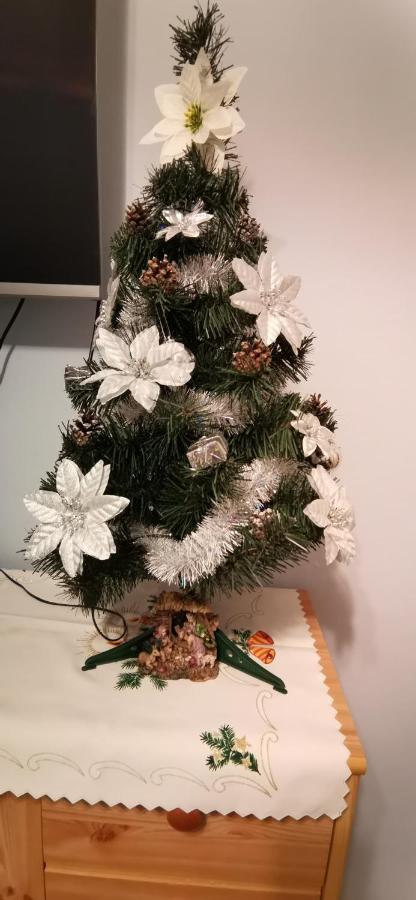 APARTAMENT MILKA w Dusznikach Zdroju Duszniki Zdrój Zewnętrze zdjęcie