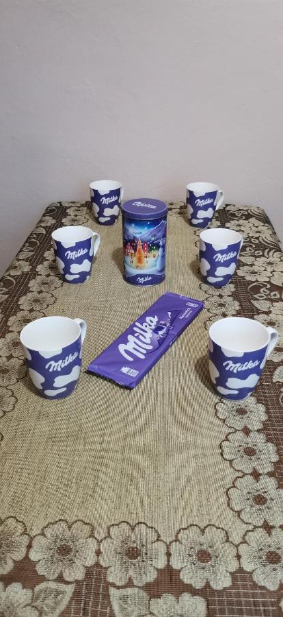 APARTAMENT MILKA w Dusznikach Zdroju Duszniki Zdrój Zewnętrze zdjęcie