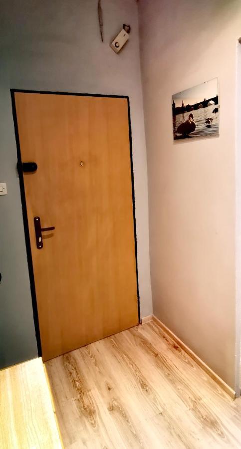 APARTAMENT MILKA w Dusznikach Zdroju Duszniki Zdrój Zewnętrze zdjęcie