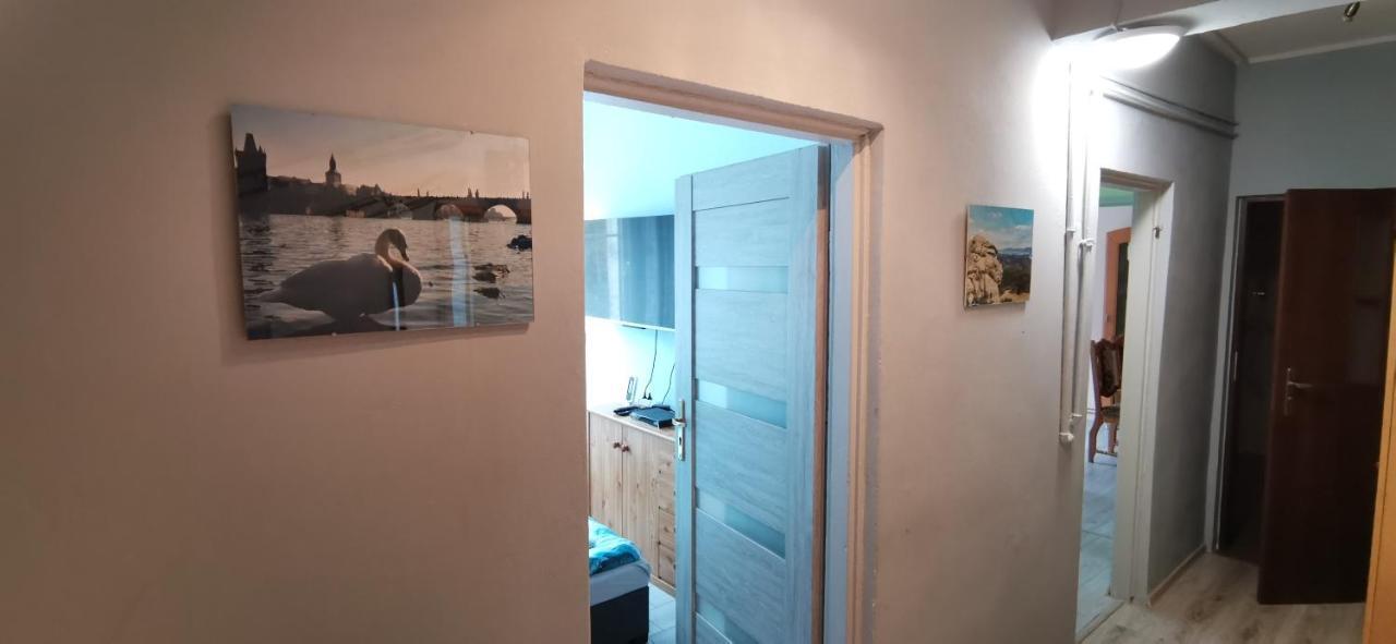 APARTAMENT MILKA w Dusznikach Zdroju Duszniki Zdrój Zewnętrze zdjęcie