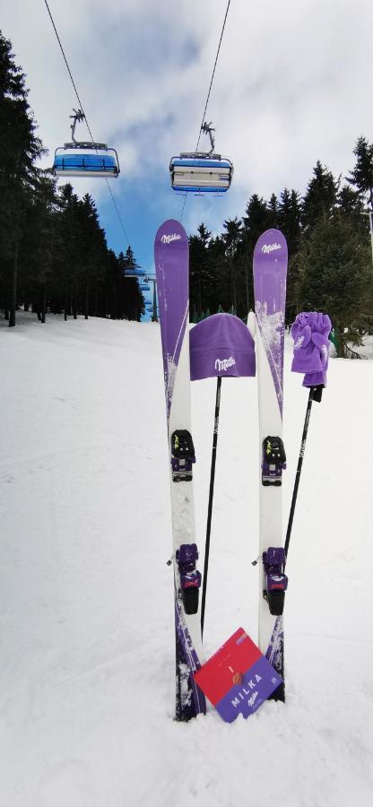 APARTAMENT MILKA w Dusznikach Zdroju Duszniki Zdrój Zewnętrze zdjęcie