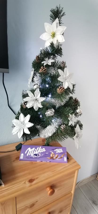 APARTAMENT MILKA w Dusznikach Zdroju Duszniki Zdrój Zewnętrze zdjęcie